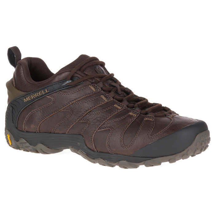 men's chameleon 7 slam leather shoes