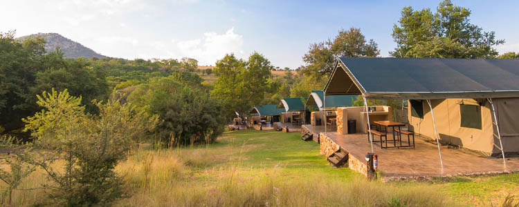 Bush Willow Camp