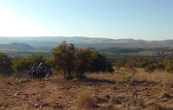 segwati safari quad bike trails hartebeesthoek