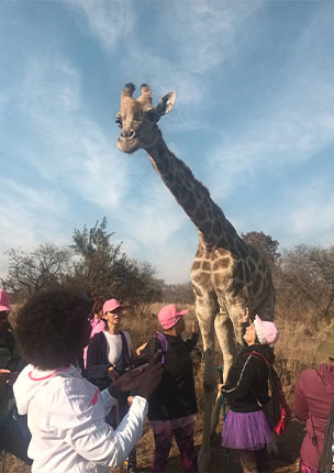 Women's Day Hike at Lion & Safari Park