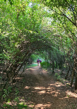 Moreleta Kloof Nature Reserve