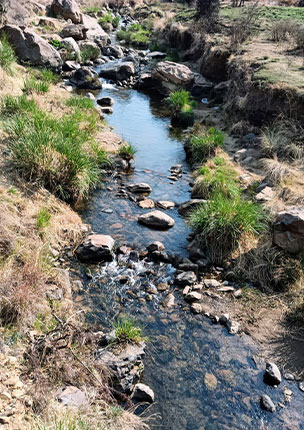 Klipriviersberg Nature Reserve Trails