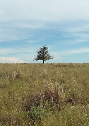 Ezemvelo Nature Reserve