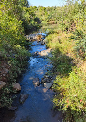 Faerie Glen