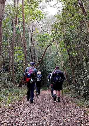 Day 1: The Tsitsikamma Trail