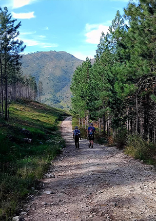 Day 2: The Tsitsikamma Trail
