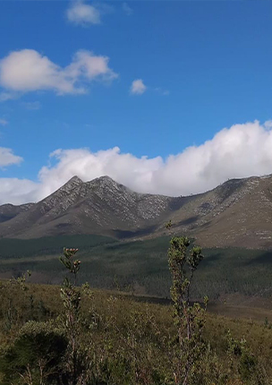 Day 3: The Tsitsikamma Trail