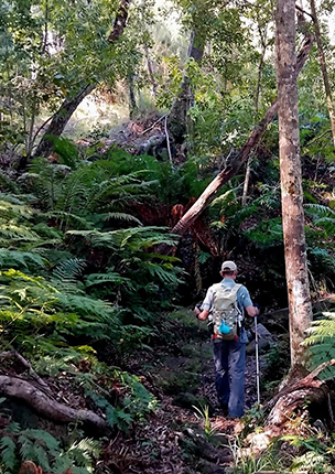 Day 4: The Tsitsikamma Trail