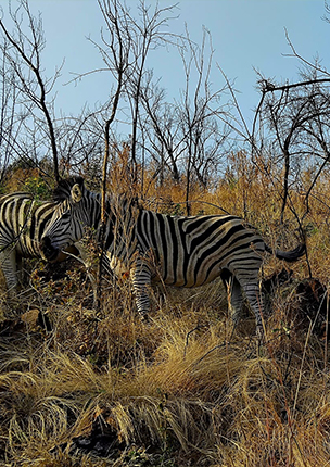 GroenKloof