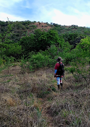 Kudu Trail