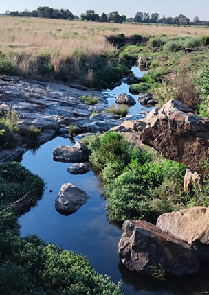 Klipriviersberg Trail
