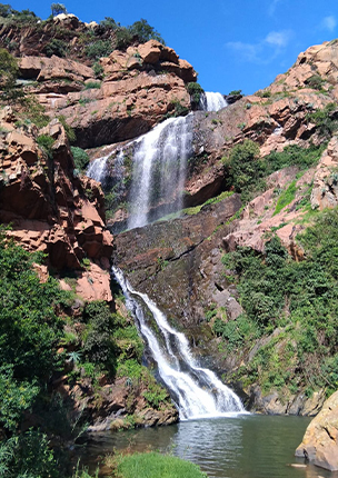 Walter Sisulu National Botanical Garden