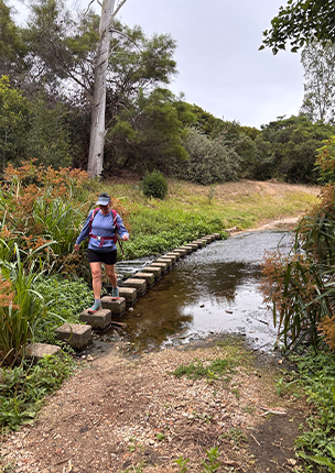 Lower Guineafowl Trail