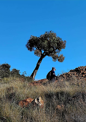 Suikerbosrand Nature Reserve 