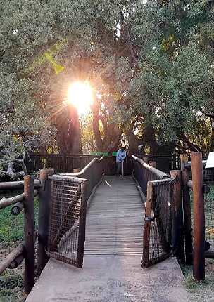 Wonderboom Nature Reserve